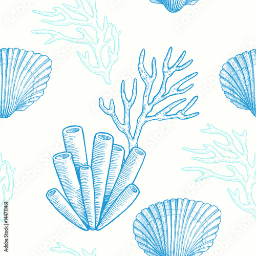 Marine life. Vector seamless pattern with hand drawn sea natural elements