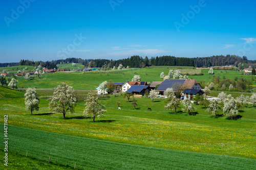 Quadro su tela D, Bayern, Bodensee, Frühling mit Baumblüte am Bodensee, Bodenseehinterland um U