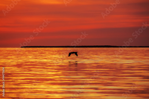 Ocean sunset © IDANIA