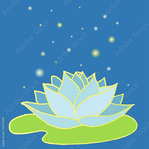 hand drawn lotus card for design, vector lotus, indian water lily flower with fairy bright