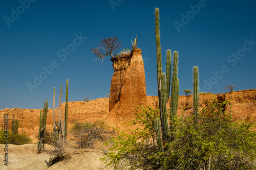 The Tatacoa desert, the driest place of Colombia photo