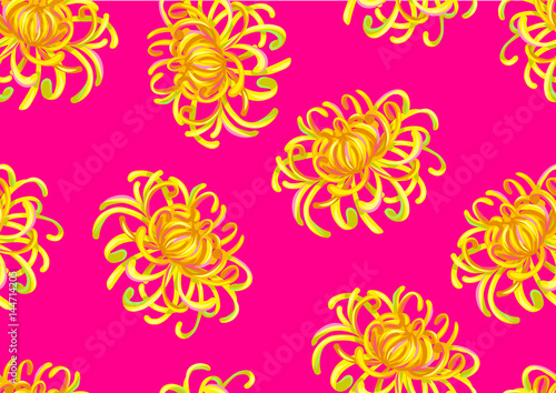 Seamless pattern with chrysanthemum flowers. Decorative ornament