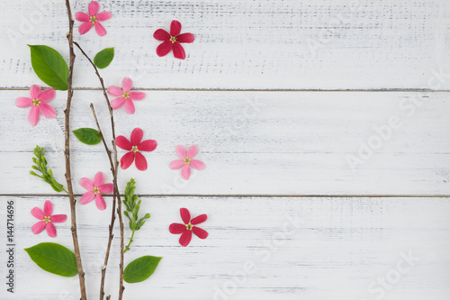 Pink and red flowers with branch and green leaves on white wood background with copy space photo