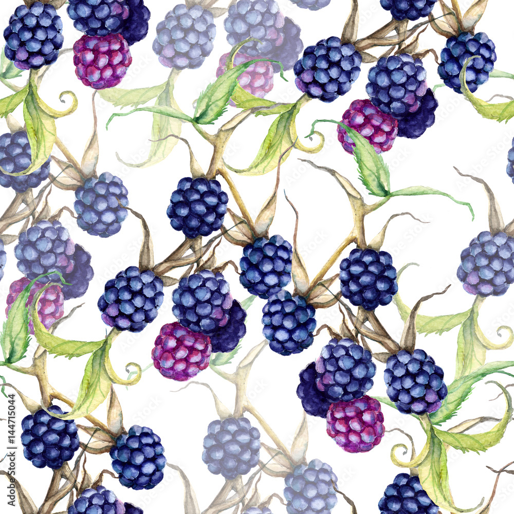 Background of a blackberry berries on a branch. Seamless pattern Background of a blackberry berries on a branch. Seamless pattern