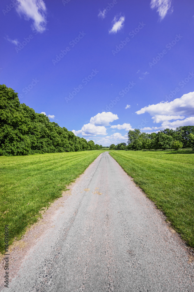 dirt track path in the countryside