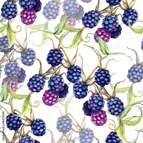 Background of a blackberry berries on a branch. Seamless pattern
