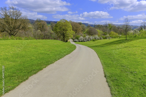 dirt track path in the countryside