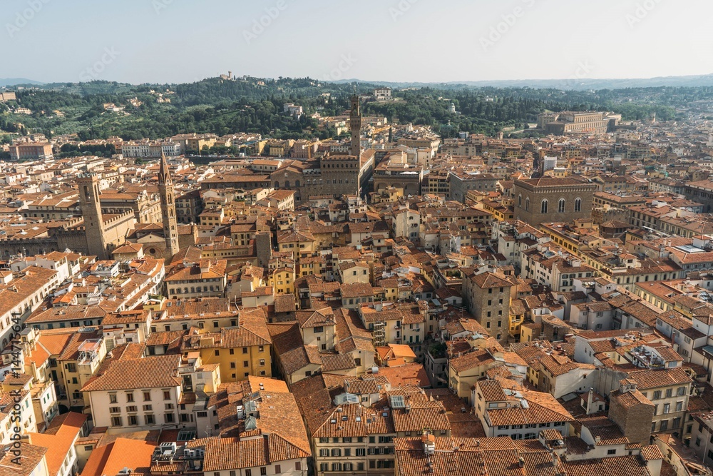 View over the beautiful city of Florence