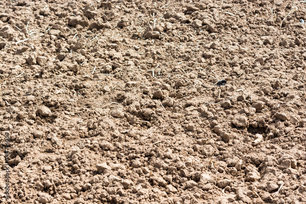 Detail of surface texture with dirty ground. Detail of surface texture with dirty ground.