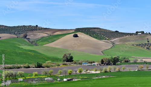 Isolated old farms near Cadiz, Andalucia, Spain