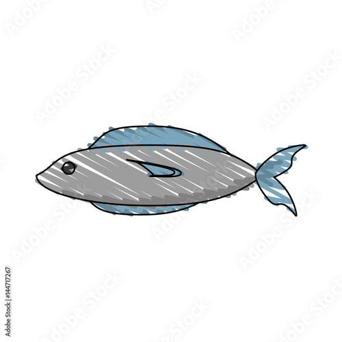 drawing fish fresh food picnic shadow vector illustration eps 10