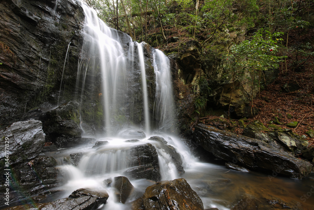 Fototapeta premium 徳島県三好市 黒沢湿原 たびの尻滝