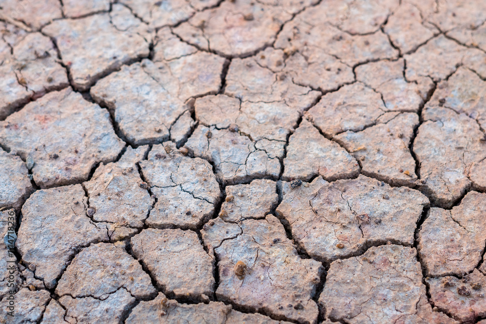 Cracked earth texture background Cracked earth texture background