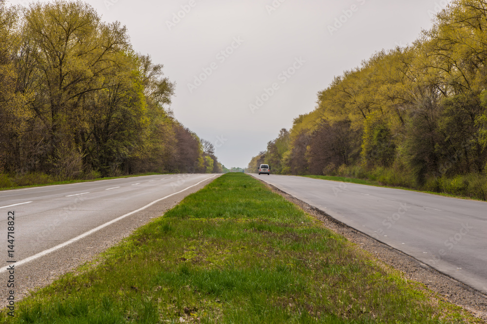 Fototapeta premium asphalt road and forest. Cars drive along the road