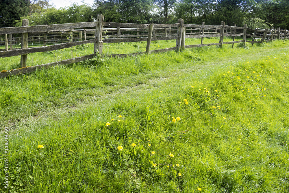 typical beautiful lush green english cotswold landscape 