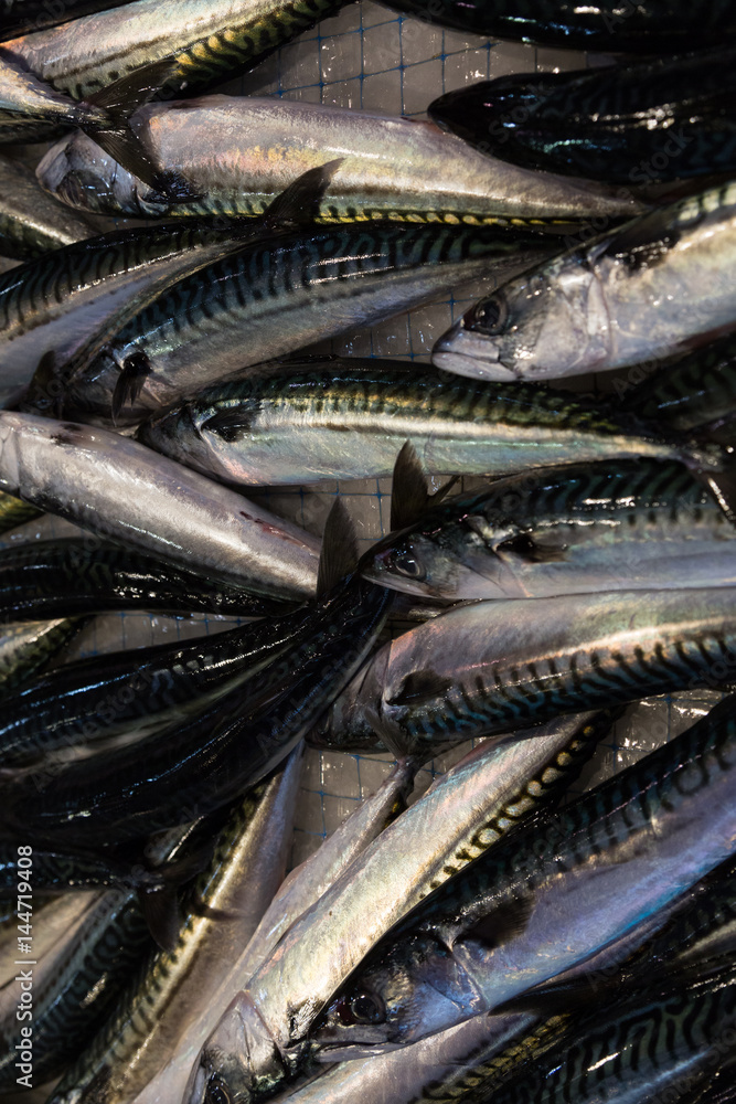 Fototapeta premium fresh fish for sale in the morning market of Ortigia, Siracusa, Sicily