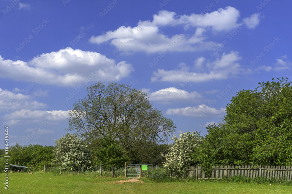 typical beautiful lush green english cotswold landscape 