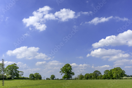 Fototapeta Naklejka Na Ścianę i Meble -  typical beautiful lush green english cotswold landscape 