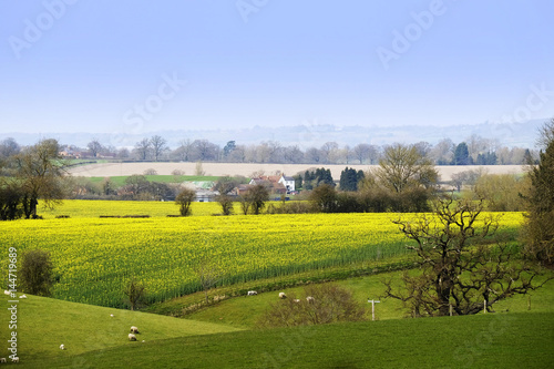 typical beautiful lush green english cotswold landscape 