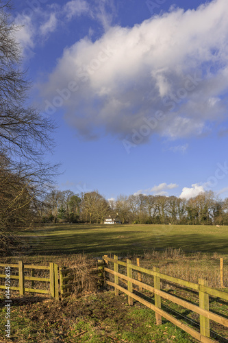 lush green typical beautiful english cotswold landscape © david hughes