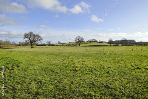 lush green typical beautiful english cotswold landscape