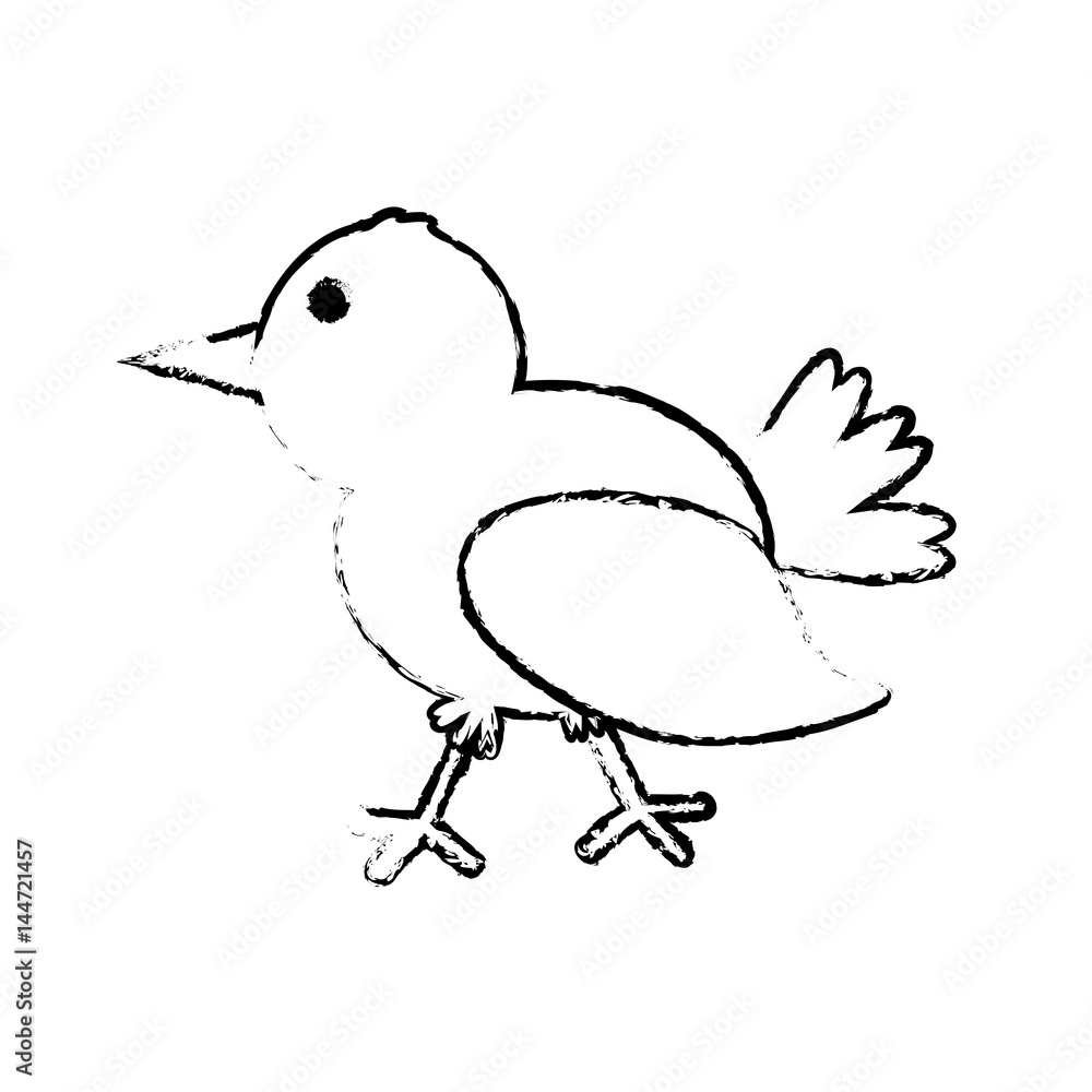 bird romance concept sketch vector illustration eps 10 bird romance concept sketch vector illustration eps 10