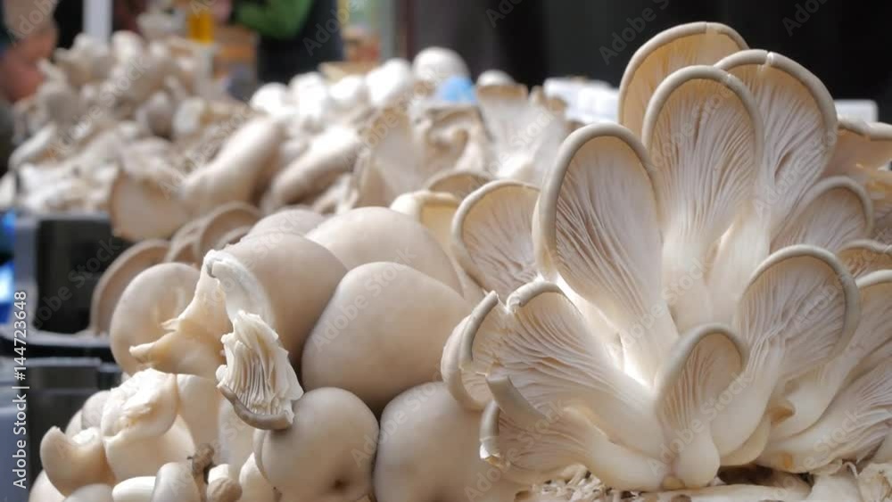 Vegan dishes Oyster mushrooms. Sales at the market. Vegan dishes Oyster mushrooms. Sales at the market.