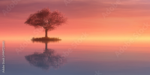 Fototapeta Naklejka Na Ścianę i Meble -  illustration of a tree and sunset