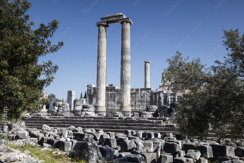 View of Temple of Apollo in antique city of Didyma, Aydin,Turkey