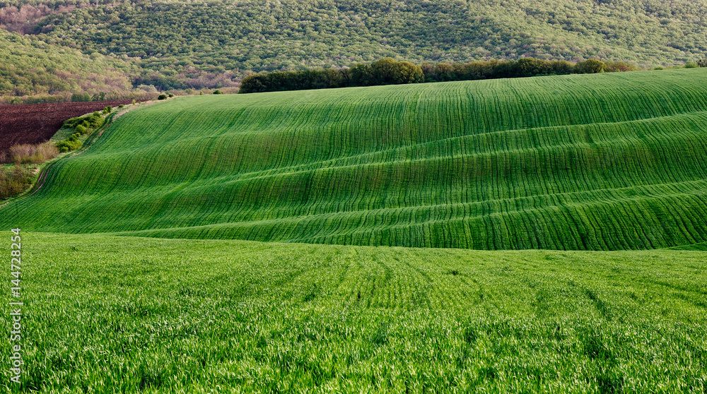 Green fields and bosky hills 