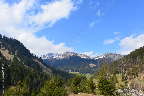 Bärgunttal in den Allgäuer Alpen / Kleinwalsertal © Ilhan Balta