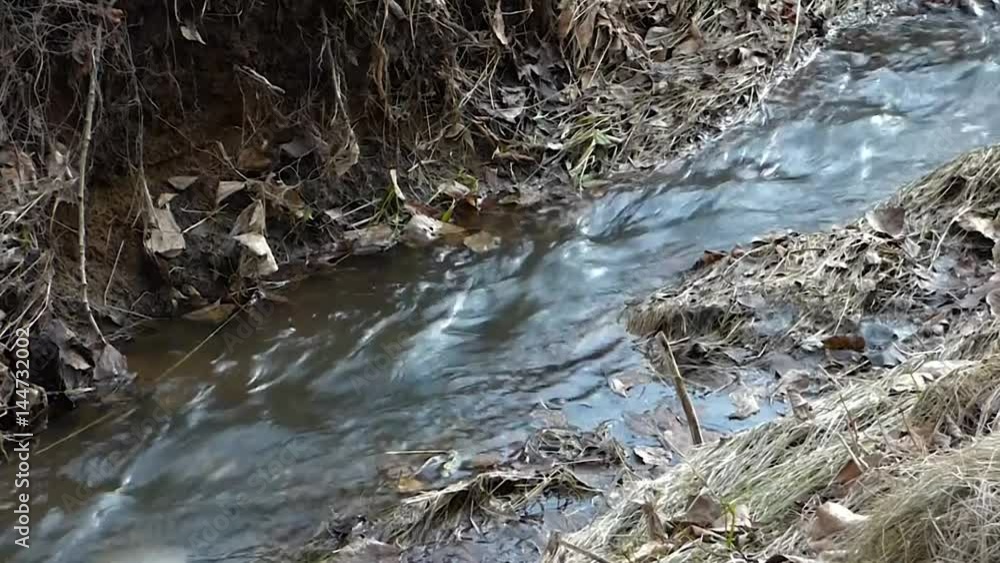 Small river flowing between old grass and foliage. Clear water running in park or forest? lot or brown leaves around. Natural landscape with clear water. Small river flowing between old grass and foliage. Clear water running in park or forest? lot or brown leaves around. Natural landscape with clear water.