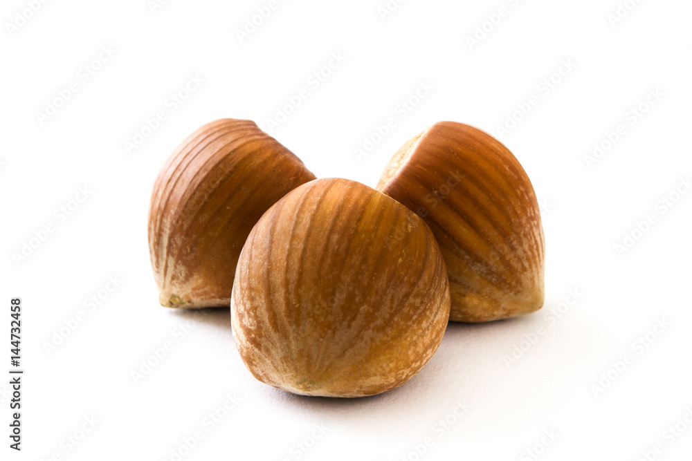 Hazelnuts isolated on white background
Hazelnuts isolated on white background