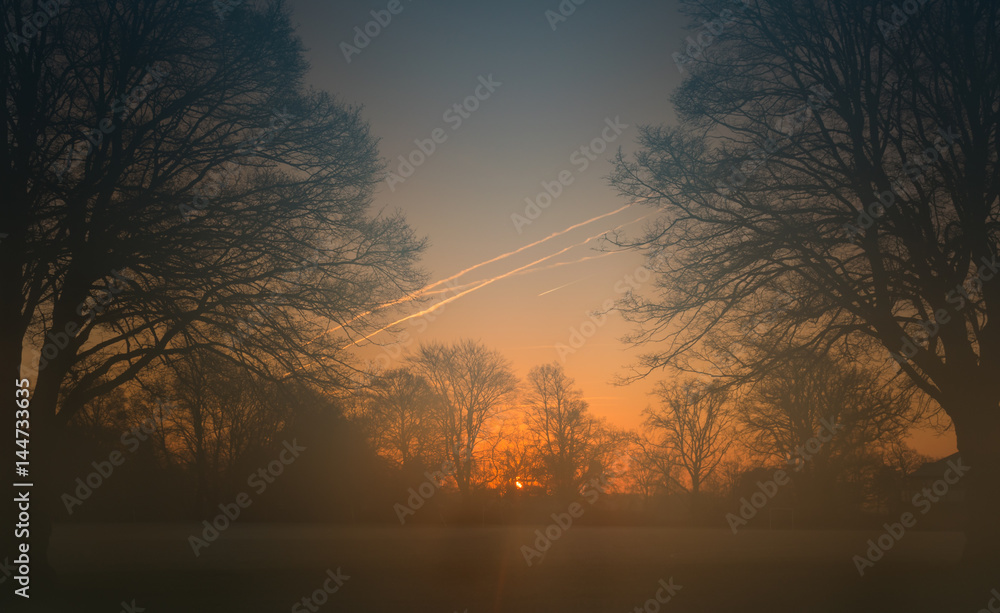 Obraz premium Misty Morning