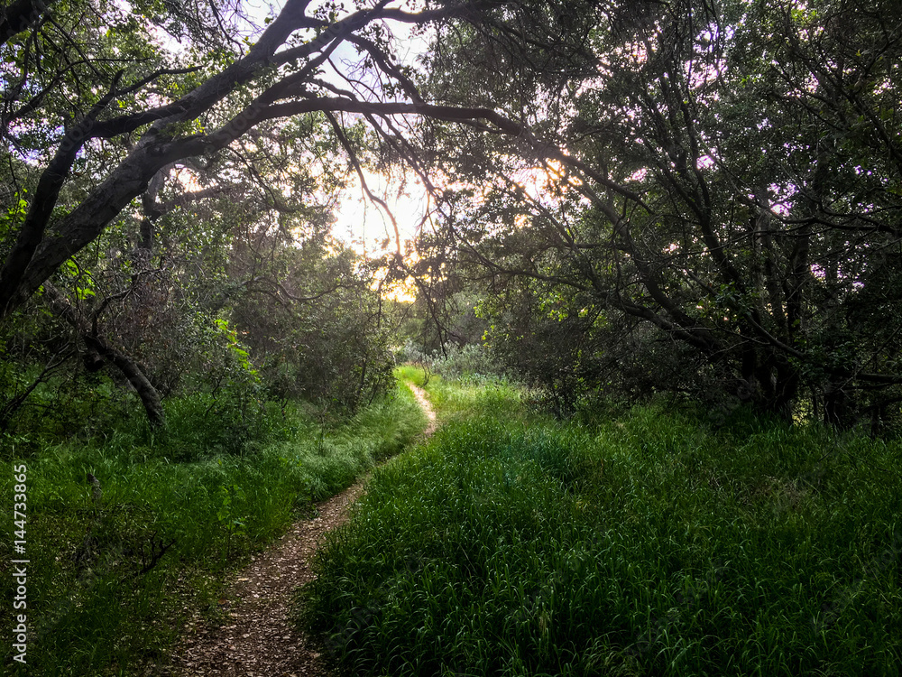 Tranquil Hike