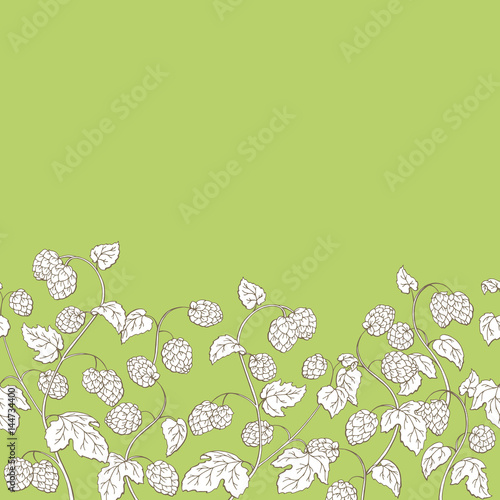 Hops plant graphic green color seamless background sketch illustration vector