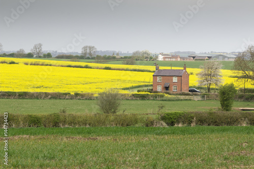 Cottage On The Farm