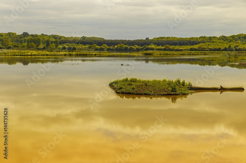 marais d´Orx II-Labenne photo