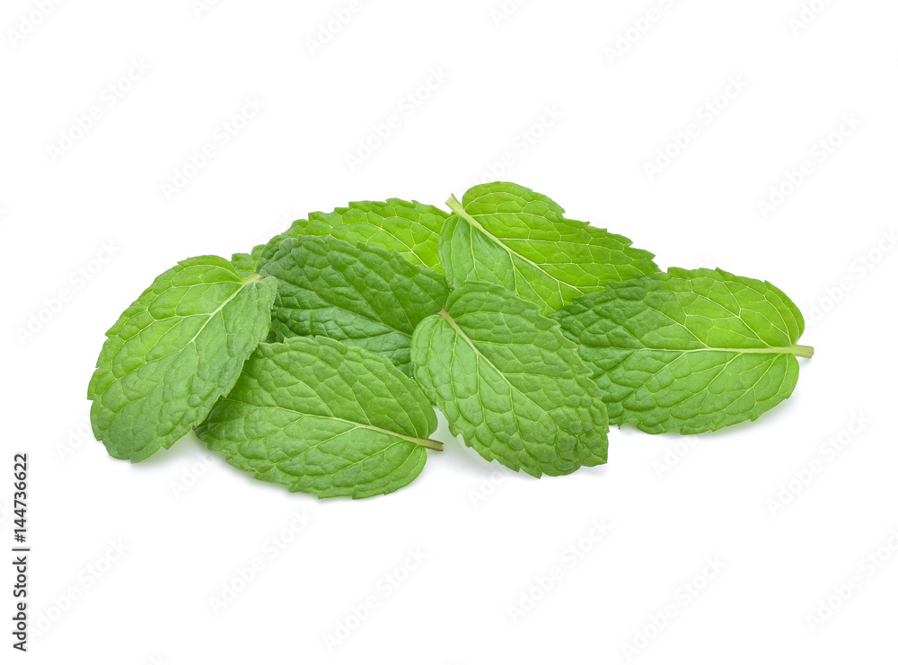 Mint leaves isolated on white background. Mint leaves isolated on white background.