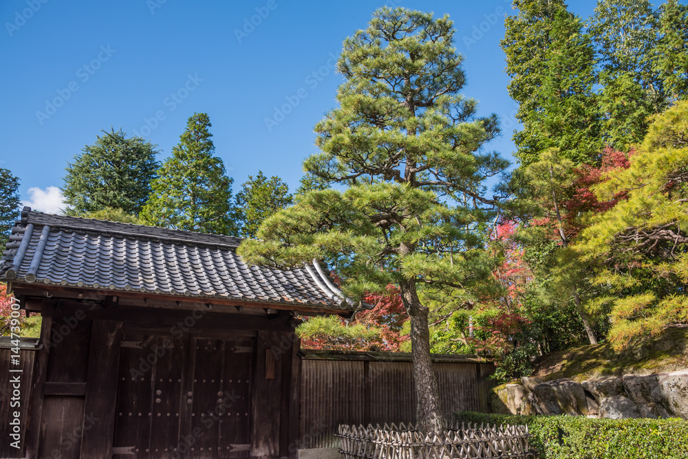 Eikando temple in autumn Eikando temple in autumn