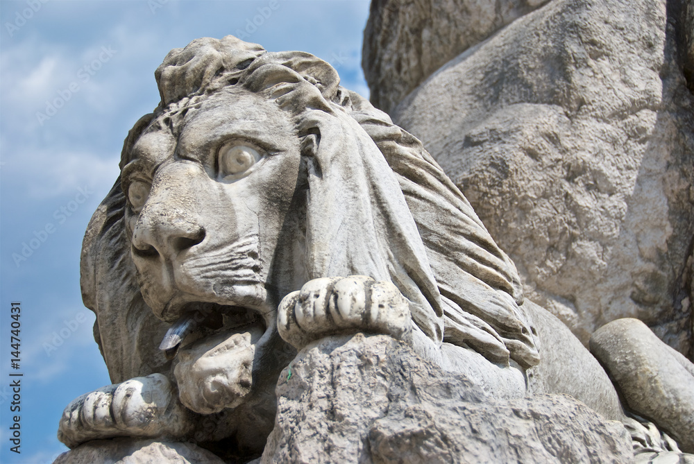 Scultura raffigurante una testa di leone Scultura raffigurante una testa di leone