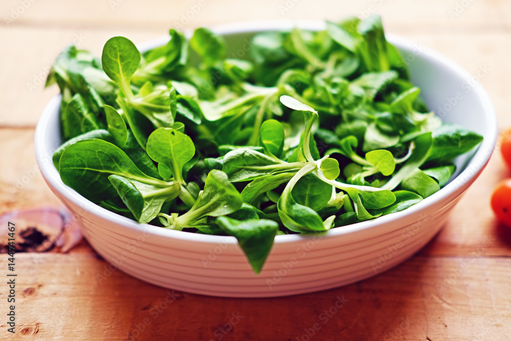Close up image of basil in a white pot. Close up image of basil in a white pot.