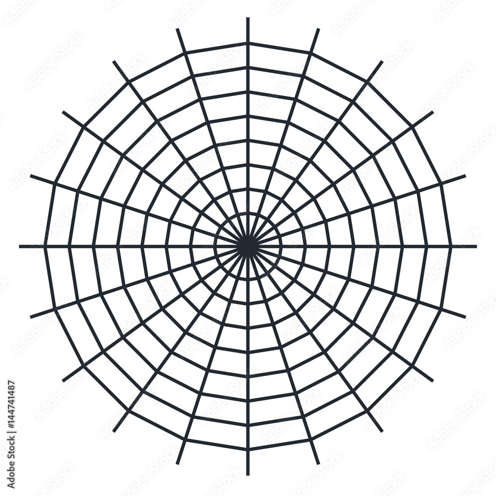 Obraz premium Spider web - Cobweb vector on white background - illustration