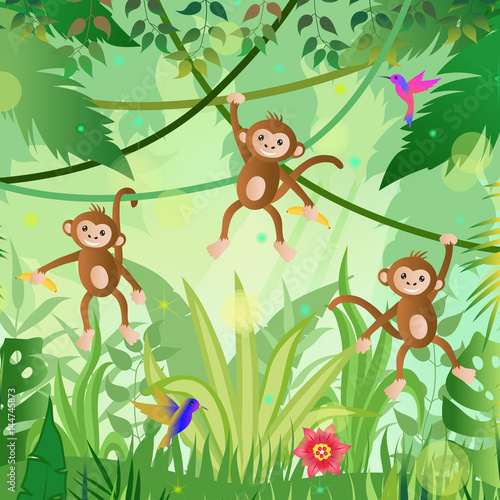 Fototapeta Naklejka Na Ścianę i Meble -  Jungle illustration. Jungle trees and plants. Monkeys and hummingbirds. Vector illustration.
