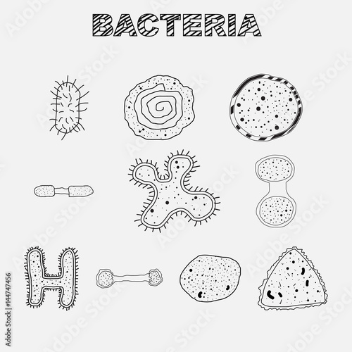Bacteria doodle vector object