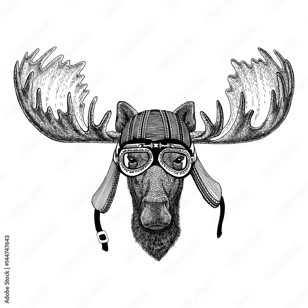Fototapeta Moose, elk Hand drawn image of animal wearing motorcycle helmet for t-shirt, tattoo, emblem, badge, logo, patch