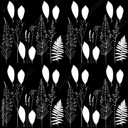 Vector floral seamless pattern  with  fireweed flowers,dill or fennel, fern l...