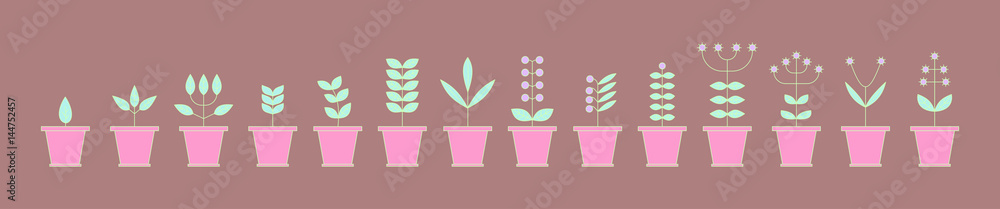 Set with Flowerpot Icons. Nature Collection. Flora Elements. Eco Signs. Vector Illustration. Set with Flowerpot Icons. Nature Collection. Flora Elements. Eco Signs. Vector Illustration.
