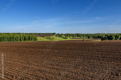 field meadow furrow birch agriculture