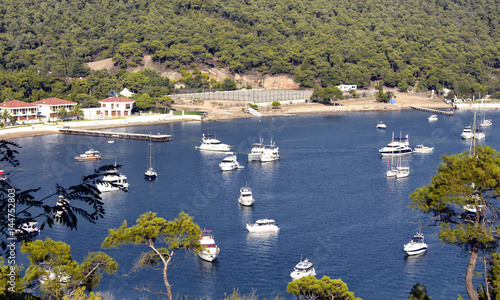 Many yachts parked at bay in the back of Heybeliada which is one of Prince Islands near Istanbul